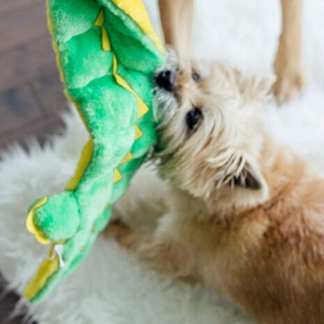 Outward Hound Squeaker Matz Gator XL 16 Squeaker Dog Toy 3 Outward Hound Squeaker Matz Gator XL 16 Squeaker Dog Toy