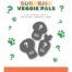 Outward Hound Surprise Veggie Pals Dog Toy - Assorted