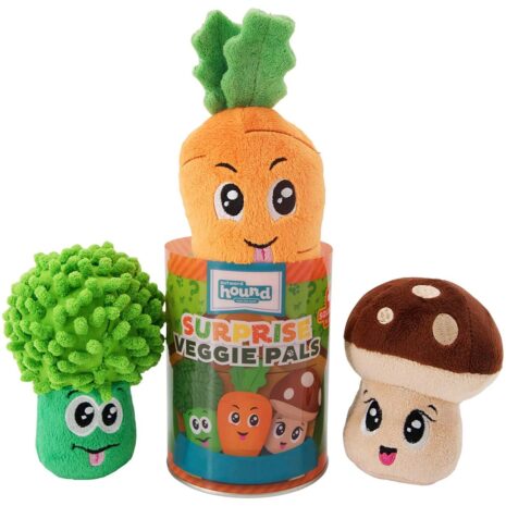 Outward Hound Surprise Veggie Pals Dog Toy - Assorted