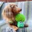 Outward Hound Surprise Veggie Pals Dog Toy - Assorted