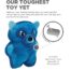 Outward Hound Xtreme Seamz Raccoon Dog Toy