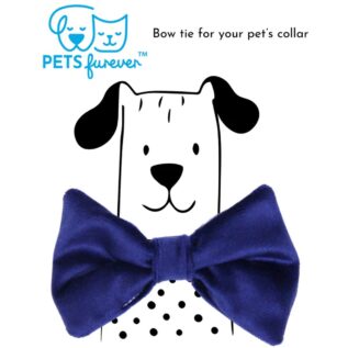 Pets Furever Bow Tie - Blue Velvet