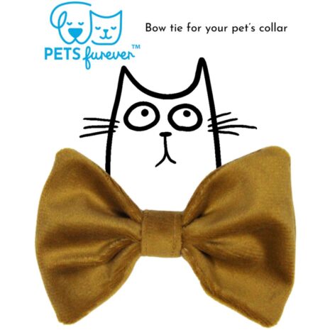 Pets Furever Bow Tie - Citrine Velvet