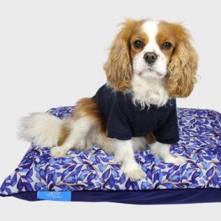 Pets Furever Coosh Pet Bed - Blue Summer Velvet