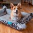 Pets Furever Cupcake 53x70cm Pet Bed - Large/Skyscraper Grey