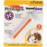 Petstages Beyond Bone Dog Chew Toy