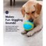 Petstages Gravity Ball Dog Toy