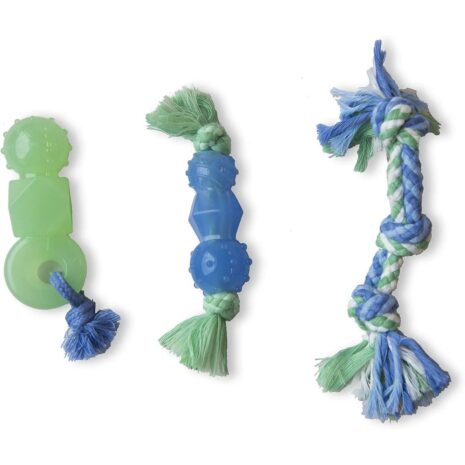 Petstages Mini Dental Chewit Dog Chew Toy Pack