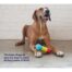 Petstages Multi-squeak Bone Dog Toy