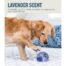 Petstages Orbee-Tuff Scented Treat Dispenser Ball - Lavender