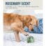 Petstages Orbee-Tuff Scented Treat Dispenser Ball - Rosemary