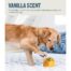 Petstages Orbee-Tuff Scented Treat Dispenser Ball - Vanilla