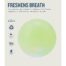 Petstages Planet Dog Orbee-Tuff Strobe Ball - Green 4