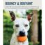 Petstages Planet Dog Squeak Ball - Orange