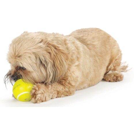Petstages Planet Dog Tennis Ball 3 Petstages Planet Dog Tennis Ball