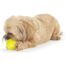 Petstages Planet Dog Tennis Ball