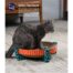 Petstages Scratch Snuggle & Rest Scratch Pad