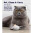Petstages Squeak Squeak Mouse Cat Toy
