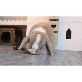 Rosewood Hemp Health Skin & Coat Treats