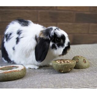 Rosewood Rabbit Treat n Gnaw Bunny Buns