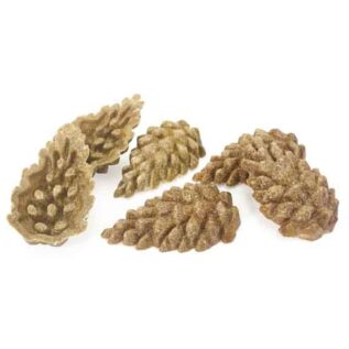 Rosewood Veggie Burst Pine Cones Rabbit Treat
