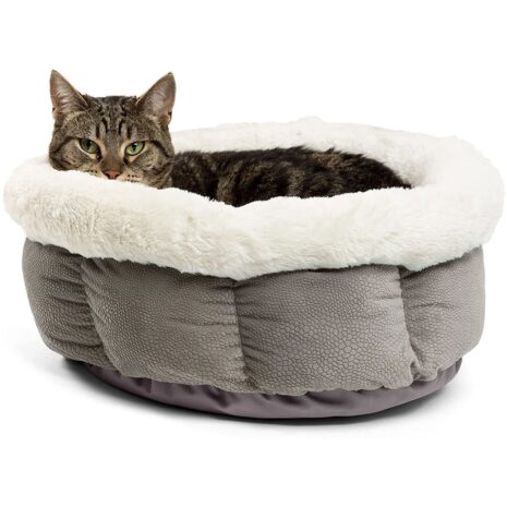 Best Friends Cuddle Cup Ilan Pet Bed