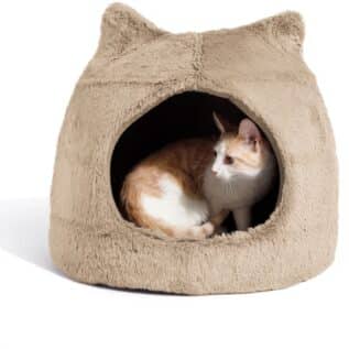 Best Friends Meow Hut Pet Bed