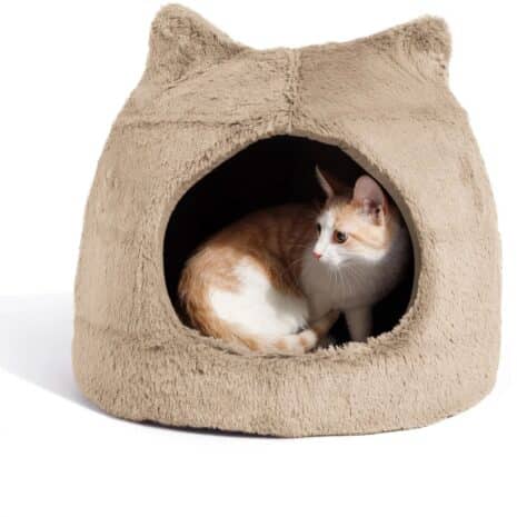 Best Friends Meow Hut Pet Bed