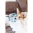 Charming Pets Baby Tuggeez Bunny Dog Puzzle