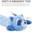 Charming Pets Longidudes Raccoon Dog Toy