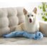 Charming Pets Longidudes Raccoon Dog Toy