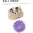 Charming Pets Reversi-Ball Antelope Dog Toy