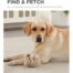 Charming Pets Reversi-Ball Antelope Dog Toy