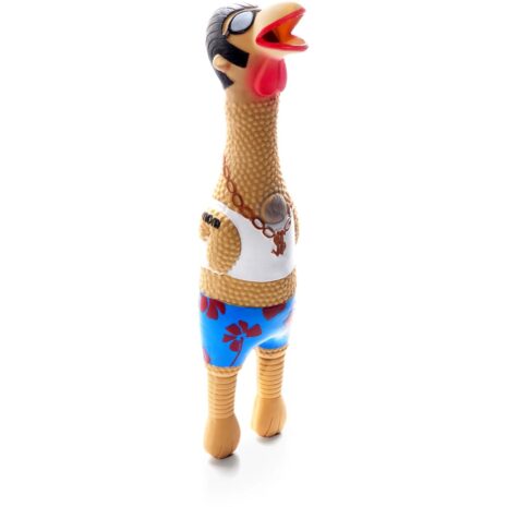 Charming Pets Squawkers Earl Dog Toy