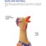 Charming Pets Squawkers Henrietta Dog Toy