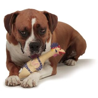 Charming Pets Squawkers Henrietta Dog Toy