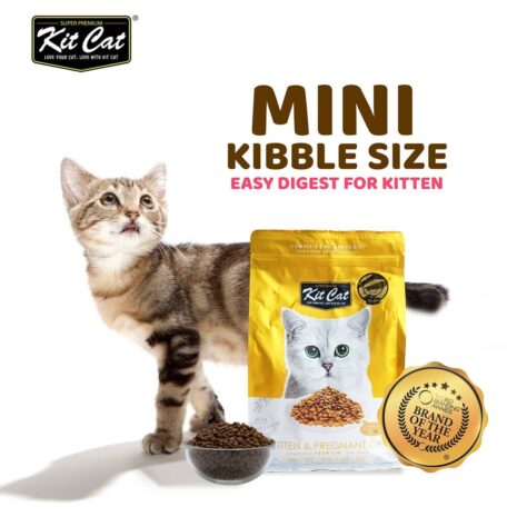Kit Cat Kitten & Pregnant Cat Dry Cat Food 2 Kit Cat Kitten & Pregnant Cat Dry Cat Food