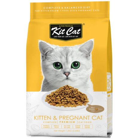 Kit Cat Kitten & Pregnant Cat Dry Cat Food