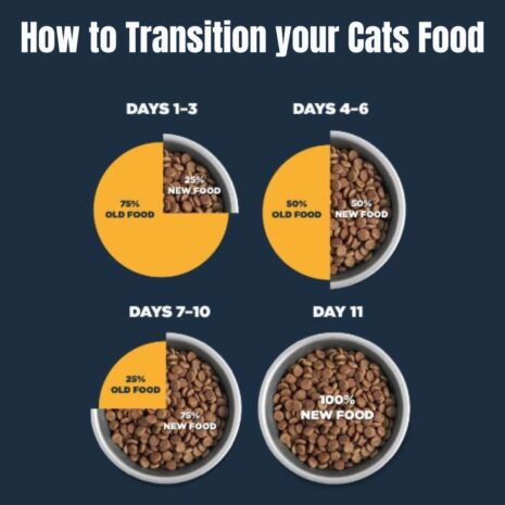 Kit Cat Ocean Urinary Care Dry Cat Food 3 Kit Cat Ocean Urinary Care Dry Cat Food