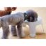 Moderna Skybar Elevated Dog Bowl - Medium
