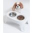 Moderna Skybar Elevated Dog Bowl - Small