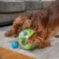Nina Ottosson A-Maze Ball Dog Puzzle