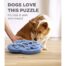 Nina Ottosson Dog Hide 'n Slide Dog Puzzle