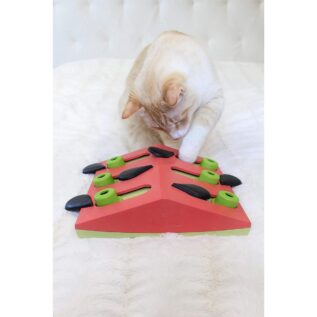Nina Ottosson Melon Madness Cat Puzzle 'n Play
