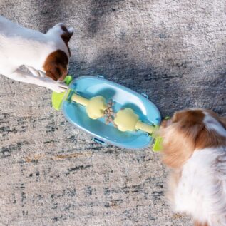 Nina Ottosson Paw 'n Play Dog Puzzle