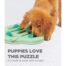 Nina Ottosson Puppy Hide 'n Slide Interactive Treat Puzzle