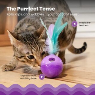 Petstages Feather Treat Stuffer Cat Toy