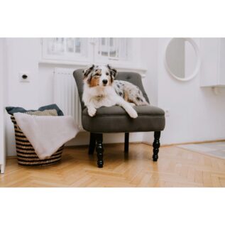 Tickless Home Ultrasonic Tick & Flea Repellent