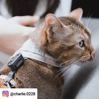 Tickless Mini Cat Ultrasonic Tick & Flea Repellent