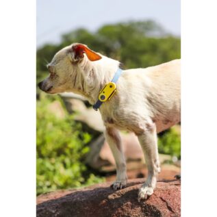 Tickless Mini Dog Ultrasonic Tick & Flea Repellent - Black